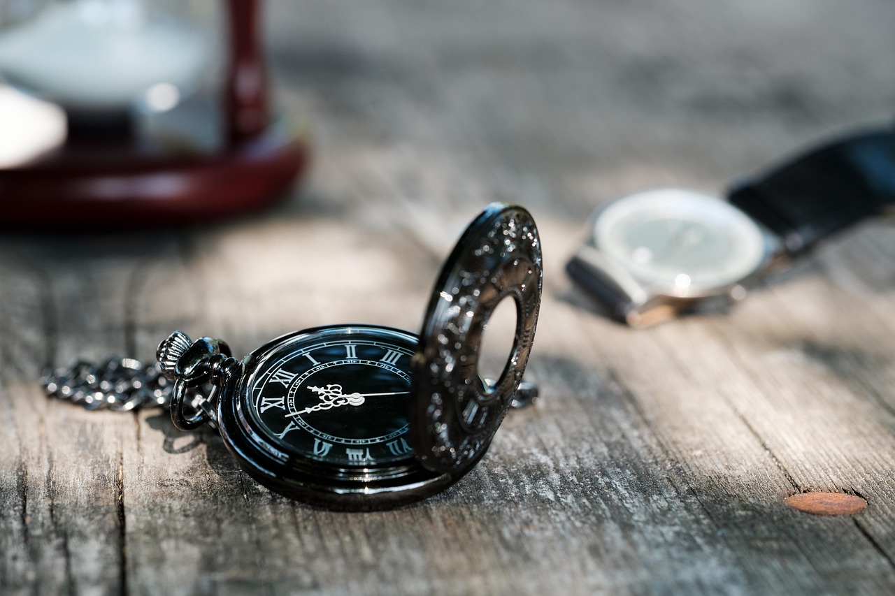 roamer historia